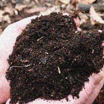 Compostagem